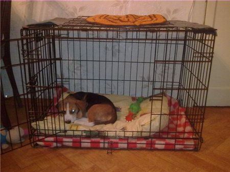 Клетка для щенка