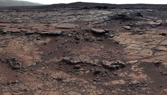 Житель США разглядел на фотографиях марсохода Curiosity гриб