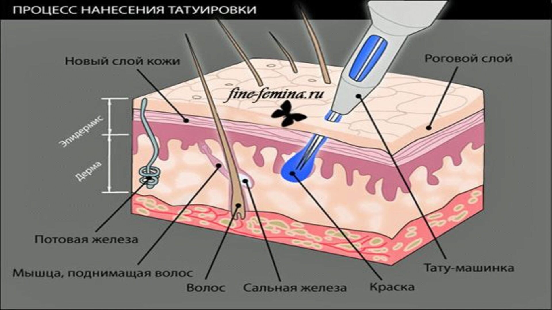 Насколько больно делать татуировку?