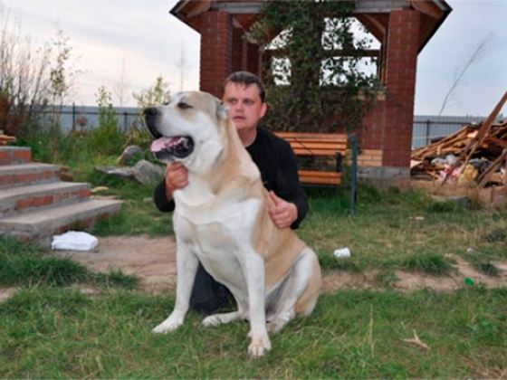 Олег Романенко и его Султан